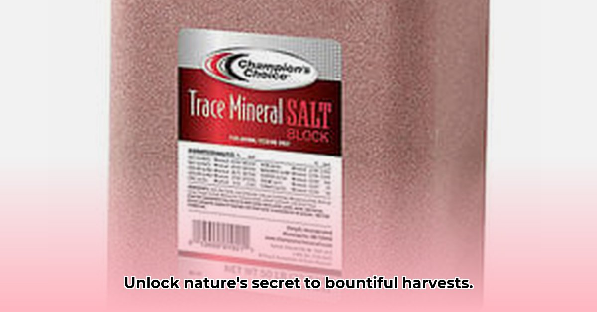salt-tractor-supply